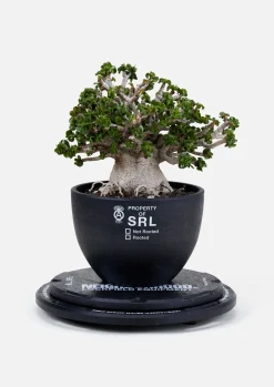 Nh X Lfe X Ballistics . Rotary Stand & Sbs Kit