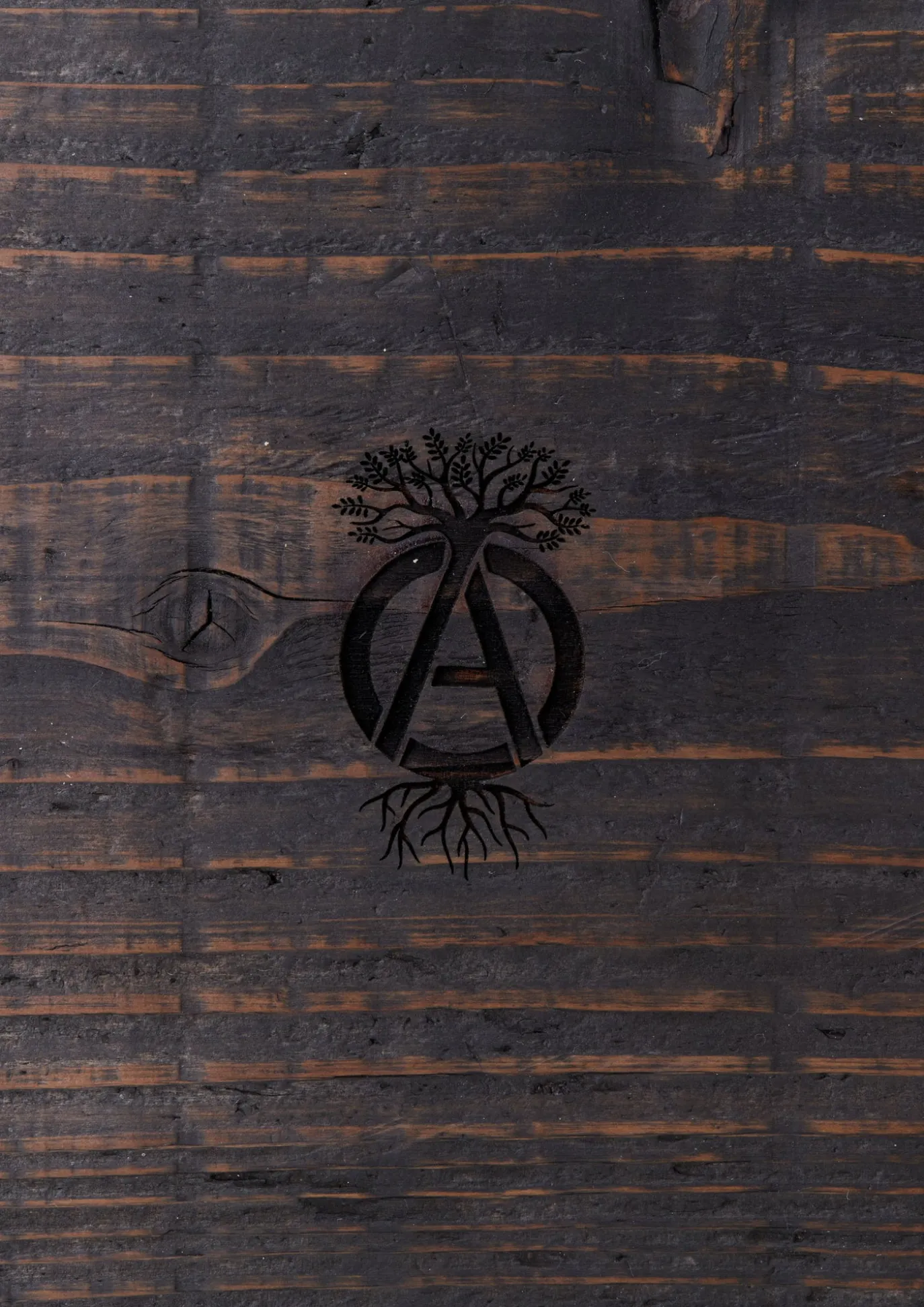 Srl X Warlock . Board-6